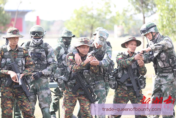 多国部队训练负荷监控：系统协同保障战力提升